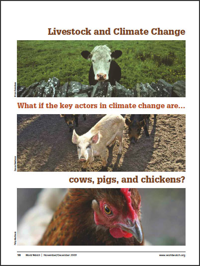 livestock-report.cover