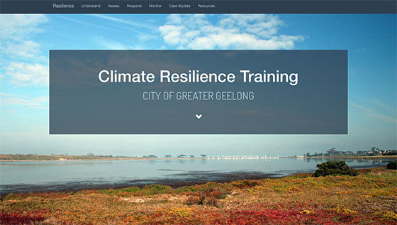CoGG-resilience-training560
